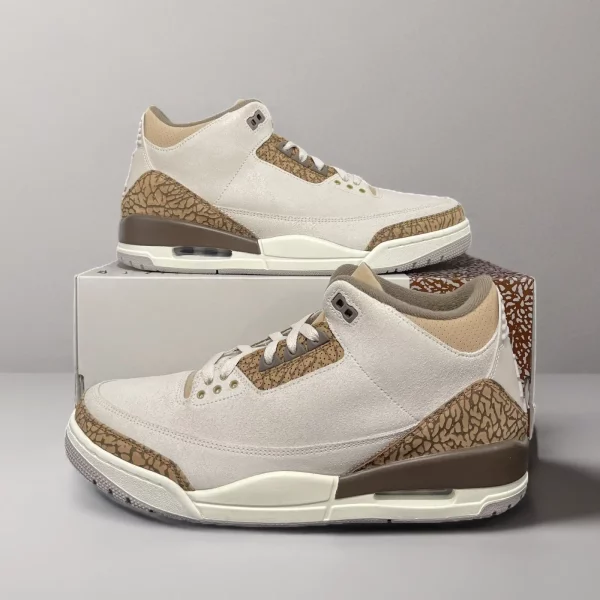 Air Jordan 3 Retro ‘Palomino’ Light Orewood Brown CT8532-102